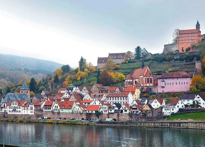 Neckarblick,Natur, Altstadt