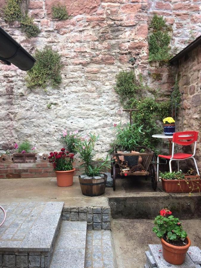 Apartment Neckarblick,natur, Altstadt Hirschhorn