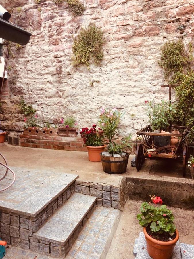 Neckarblick,natur, Altstadt *