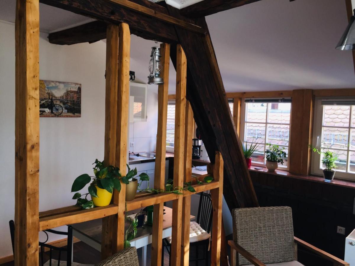 Neckarblick,natur, Altstadt Apartment