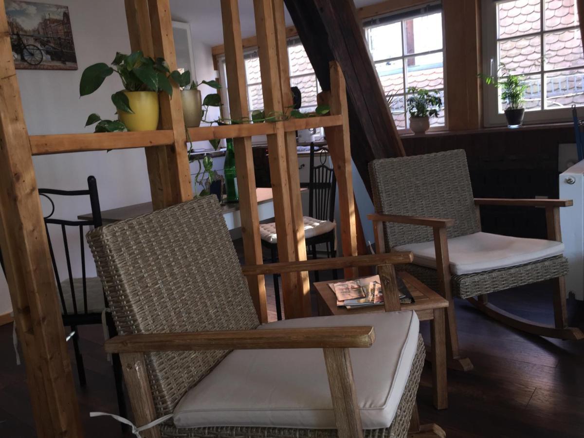 Neckarblick,natur, Altstadt Apartment Hirschhorn
