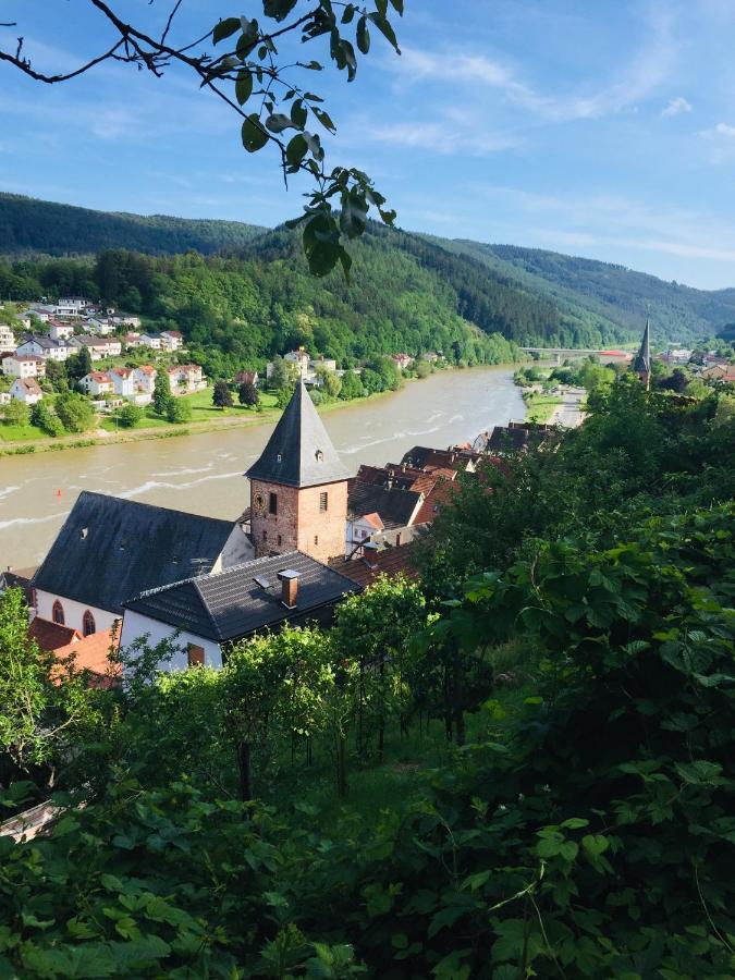 Neckarblick,natur, Altstadt * Hirschhorn