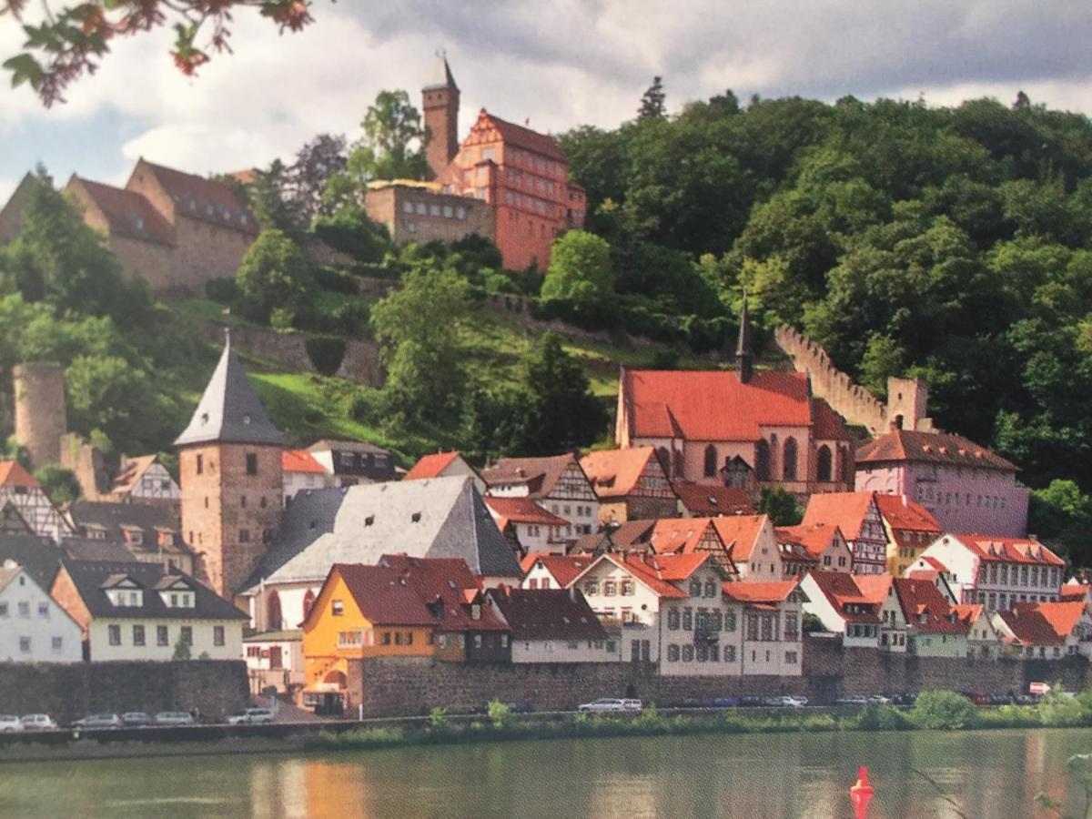 Apartment Neckarblick,natur, Altstadt