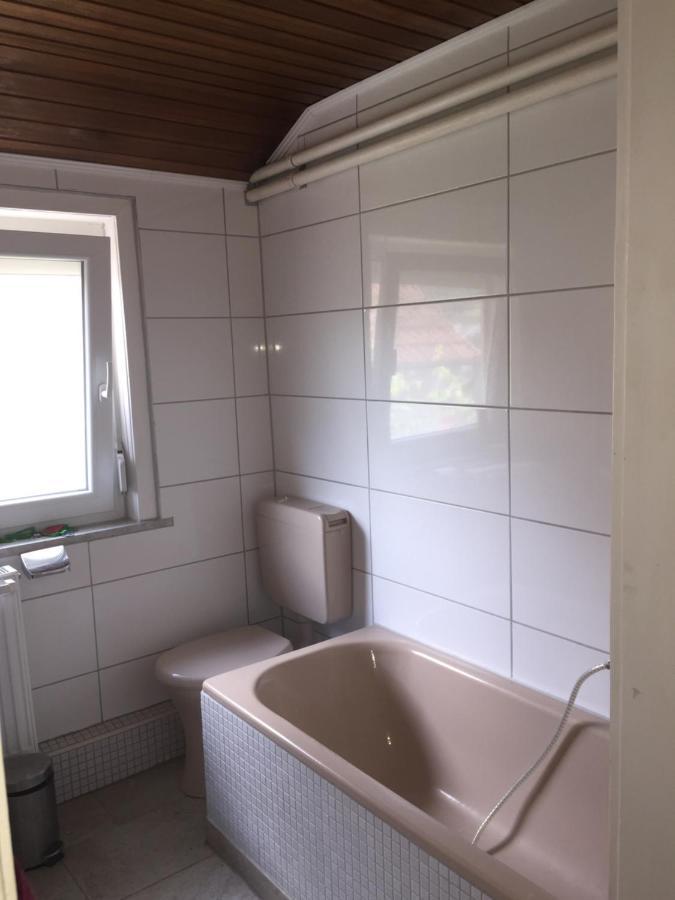Apartment Neckarblick,natur, Altstadt *