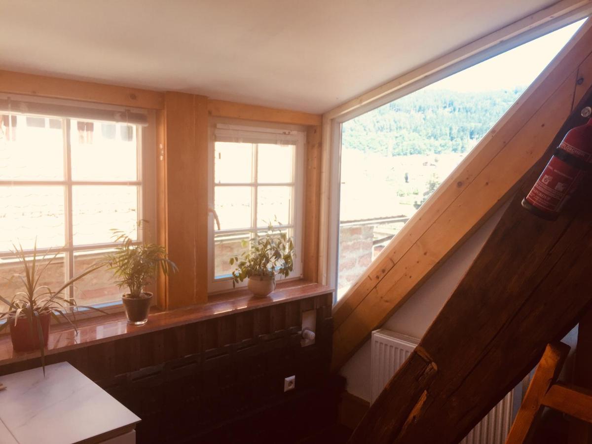 Apartment Neckarblick,natur, Altstadt
