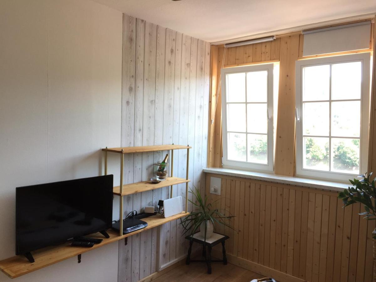 Apartment Neckarblick,natur, Altstadt Hirschhorn