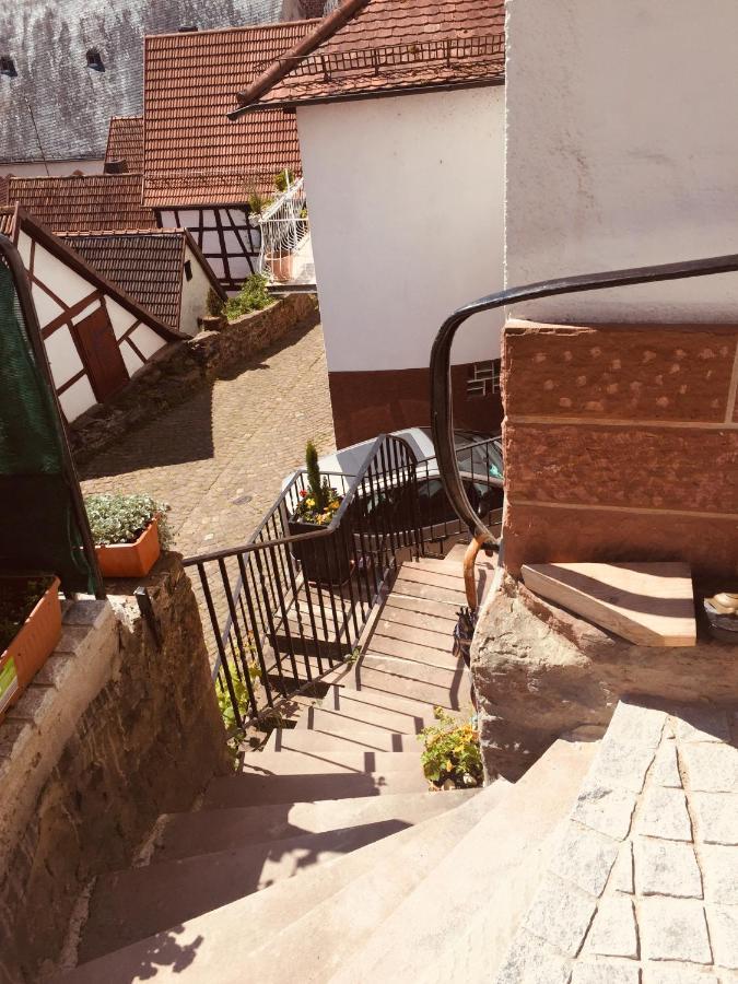 Neckarblick,natur, Altstadt Apartment Hirschhorn