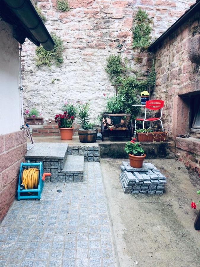 Apartment Neckarblick,natur, Altstadt *