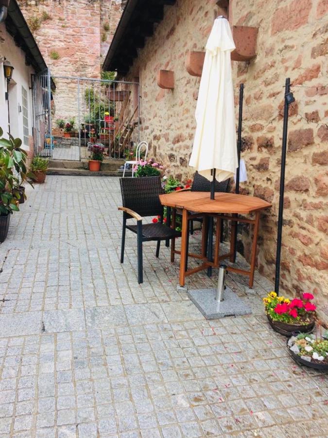 Neckarblick,natur, Altstadt *