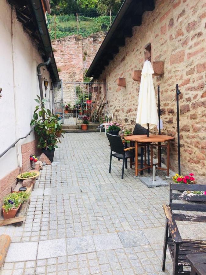 Apartment Neckarblick,natur, Altstadt *