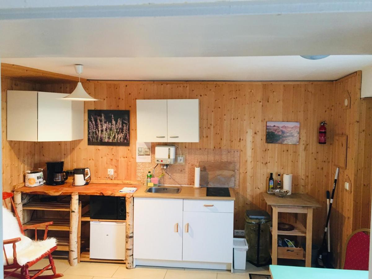 Neckarblick,natur, Altstadt Apartment Hirschhorn