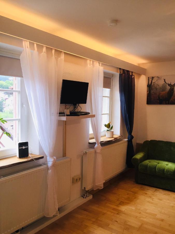 Apartment Neckarblick,natur, Altstadt Hirschhorn