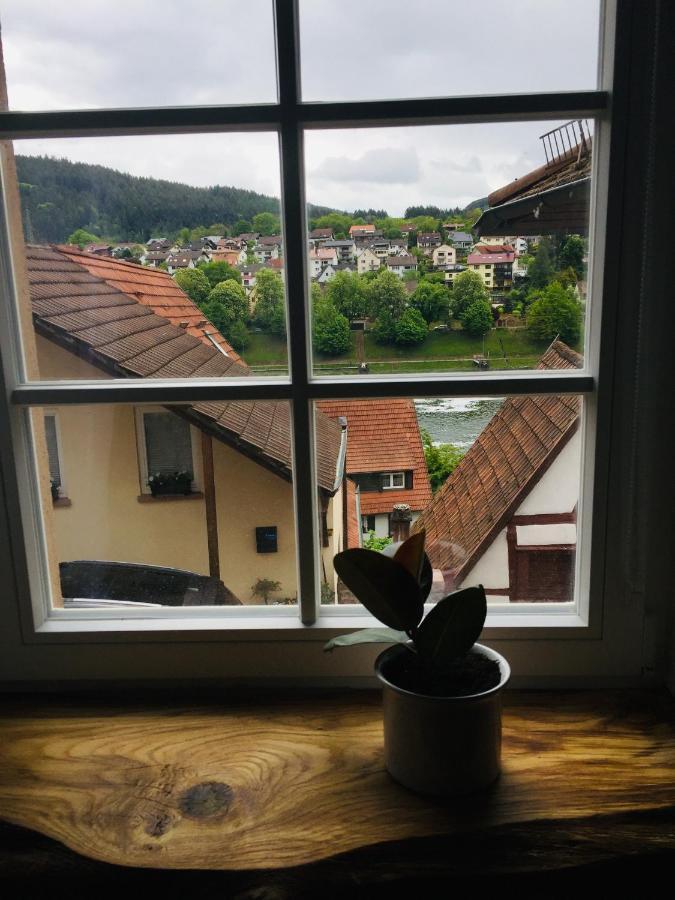 Neckarblick,natur, Altstadt Apartment Hirschhorn