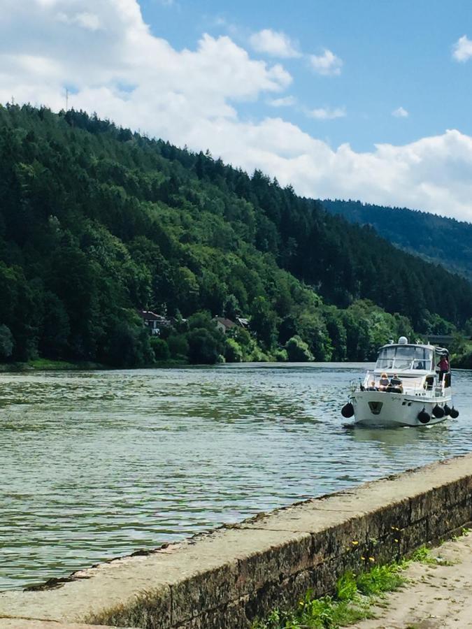 Neckarblick,natur, Altstadt *