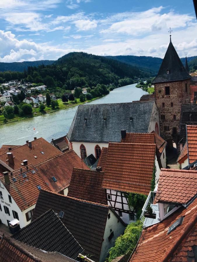 Neckarblick,natur, Altstadt