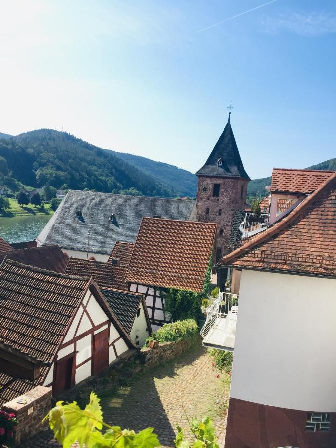 Apartment Neckarblick,natur, Altstadt Hirschhorn