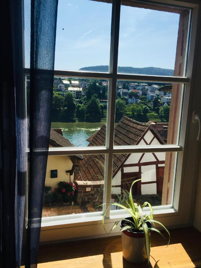 Apartment Neckarblick,natur, Altstadt *