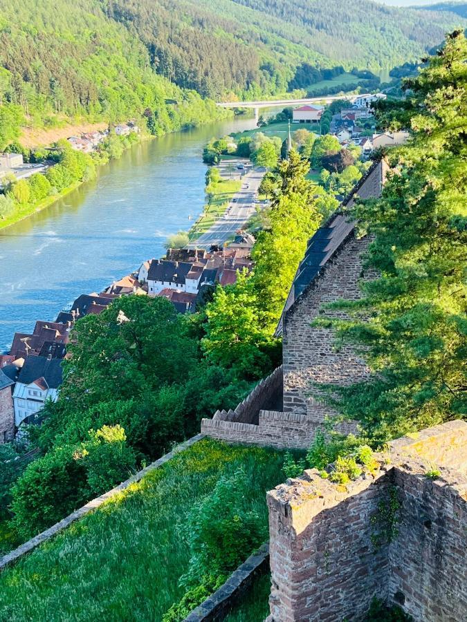 Neckarblick,natur, Altstadt Apartment *