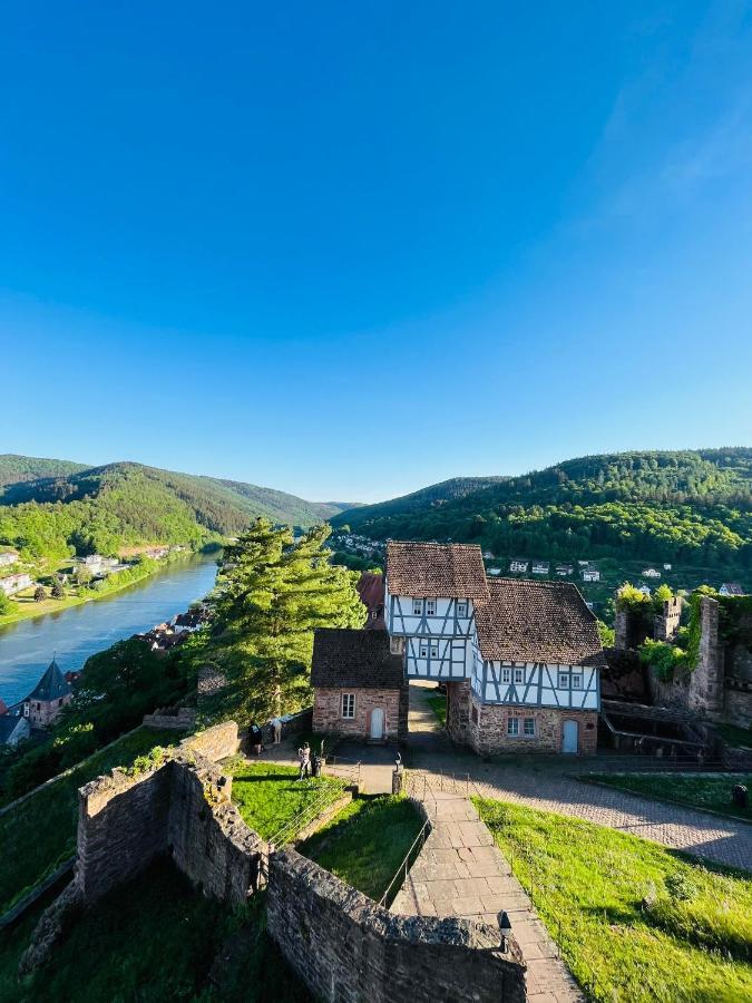 Neckarblick,natur, Altstadt * Hirschhorn