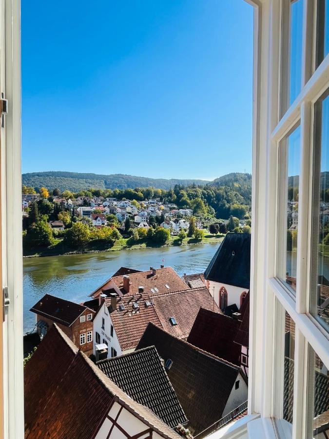 Neckarblick,natur, Altstadt Hirschhorn
