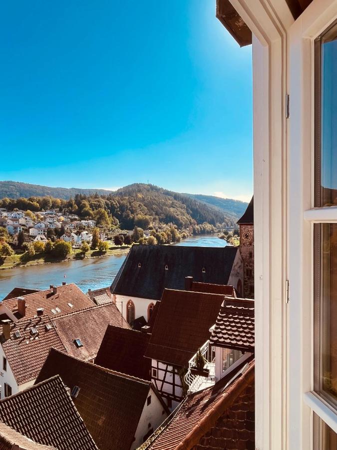 Neckarblick,natur, Altstadt Hirschhorn
