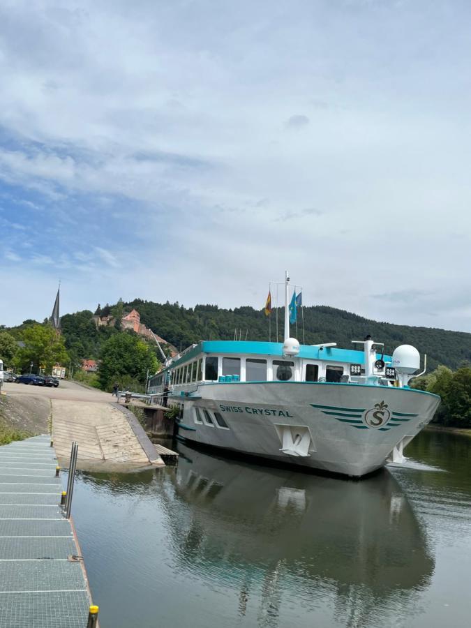 Neckarblick,natur, Altstadt Apartment Hirschhorn