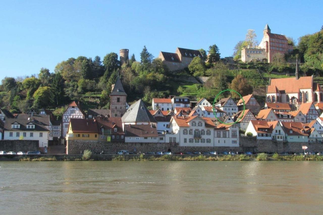 Neckarblick,natur, Altstadt * Hirschhorn