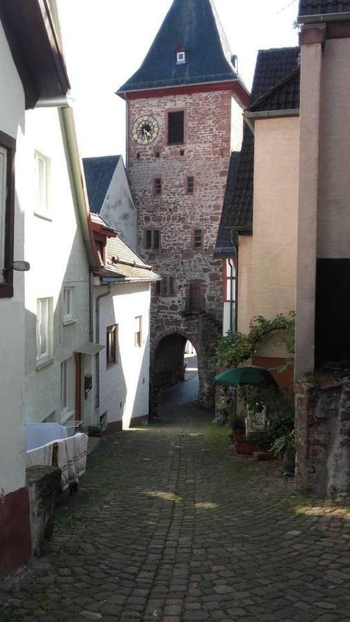 Neckarblick,natur, Altstadt Hirschhorn