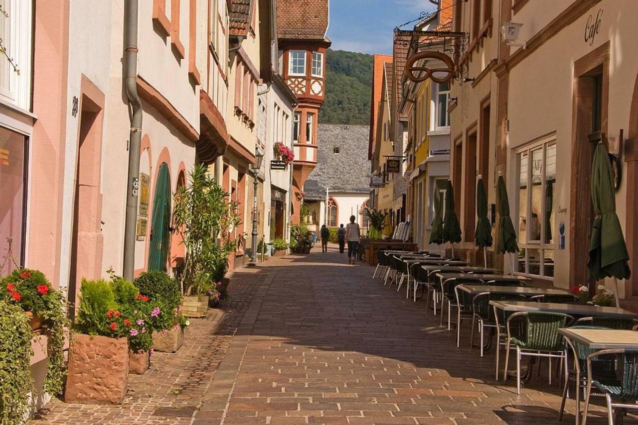 Neckarblick,natur, Altstadt Apartment Hirschhorn