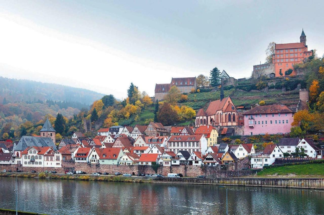 Neckarblick,natur, Altstadt Apartment