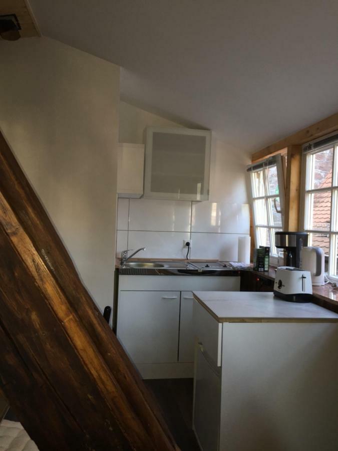 Neckarblick,natur, Altstadt Apartment