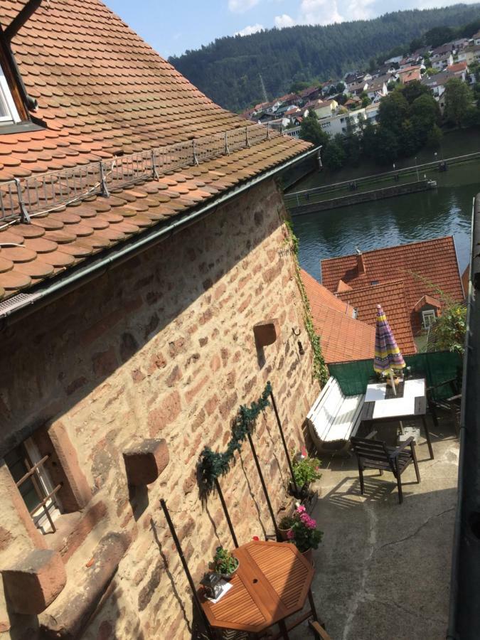 Apartment Neckarblick,natur, Altstadt *