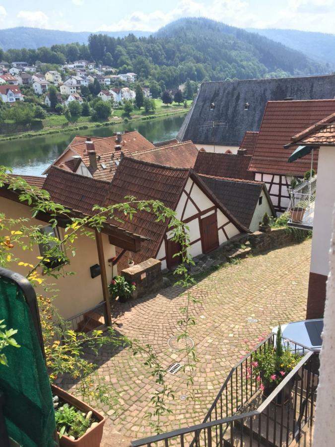 Neckarblick,natur, Altstadt Apartment