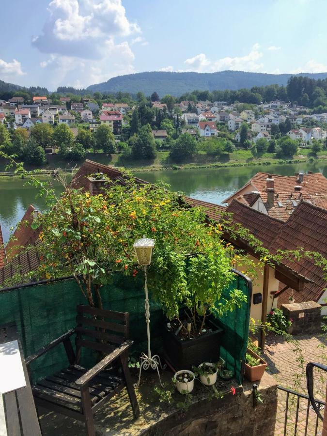 Neckarblick,natur, Altstadt Hirschhorn