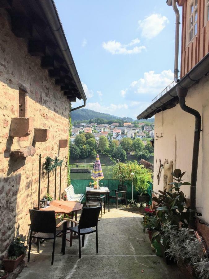 Neckarblick,natur, Altstadt *
