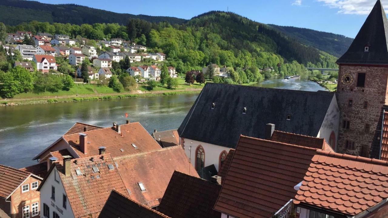 Neckarblick,natur, Altstadt Apartment