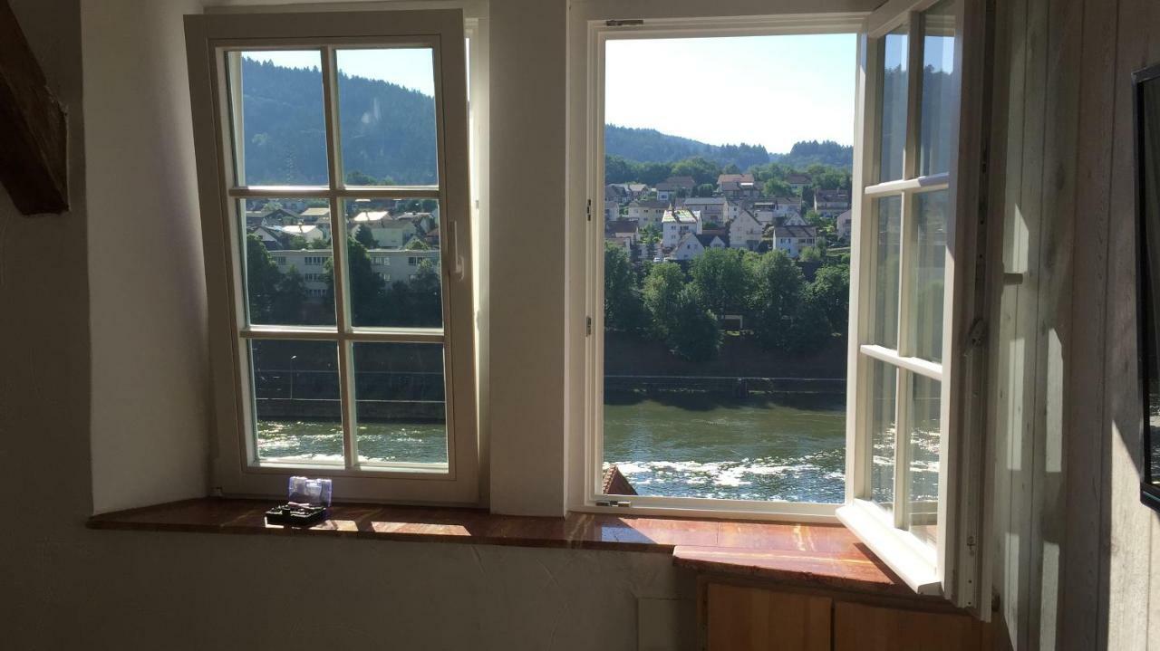 Apartment Neckarblick,natur, Altstadt Hirschhorn