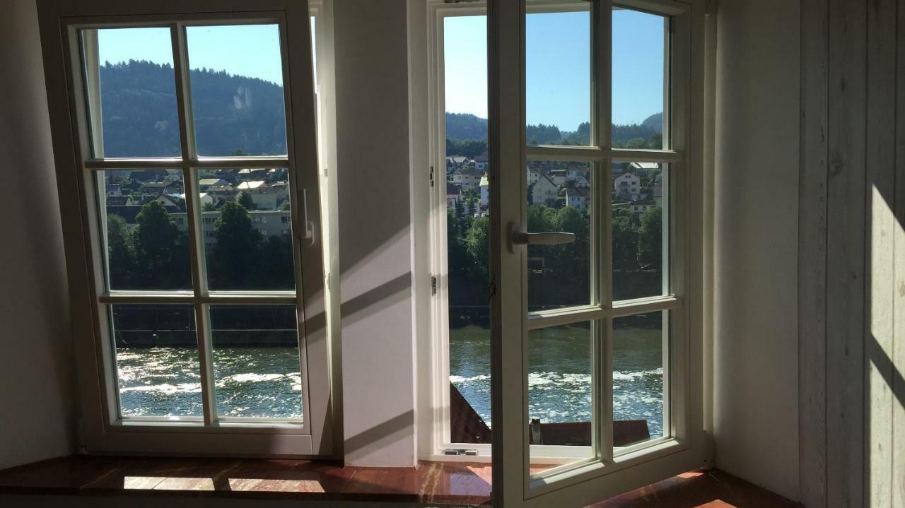 Neckarblick,natur, Altstadt *